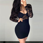 V-Neck Long Sleeve Lace Bodice Dress